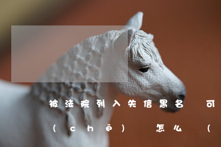 被法院列入失信黑名單可以開(kāi)車(chē)嗎(怎么會(huì)上失信黑名單)