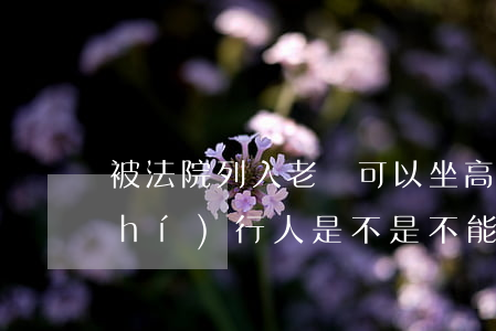 被法院列入老賴可以坐高鐵嗎(法院被執(zhí)行人是不是不能坐高鐵)