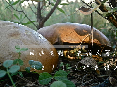 被法院列為失信人可以辦信用卡嗎(被法院執(zhí)行失信人,對所用信用卡有影響嗎)