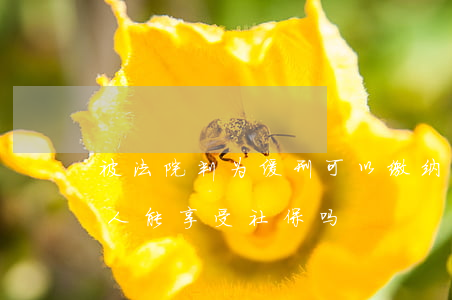 被法院判为缓刑可以缴纳社保吗(判处缓刑的人能享受社保吗)