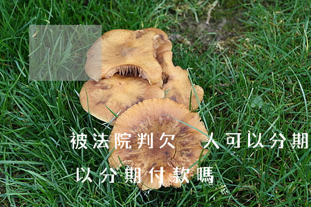 被法院判欠別人可以分期嗎(法院判決賠償可以分期付款嗎)