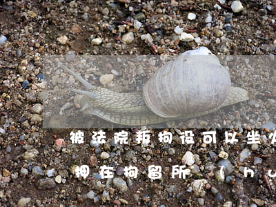 被法院叛拘役可以坐火車嗎(關(guān)押在拘留所會(huì)不會(huì)被判刑)