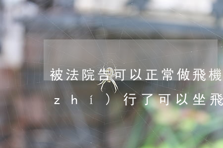 被法院告可以正常做飛機嗎(被法院強制執(zhí)行了可以坐飛機嗎)