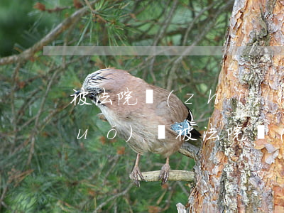 被法院執(zhí)行中的人可以出國(guó)嗎(被法院強(qiáng)制執(zhí)行可以出國(guó)嗎)