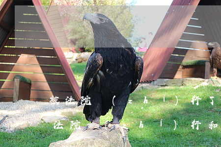 被法院執(zhí)行了可以用身份證嗎(被法院執(zhí)行和布控了身份證可以用嗎?)