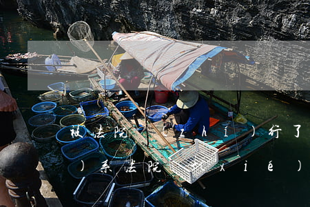 被法院執(zhí)行了可以聯(lián)系法院協(xié)商嗎(可以和執(zhí)行法官協(xié)商嗎)