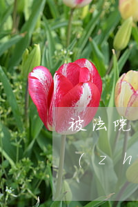 被法院執(zhí)行了可以辦護照嗎(被執(zhí)行人護照坐飛機嗎)