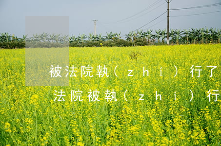 被法院執(zhí)行了還可以用身份證嗎(法院被執(zhí)行人可以辦身份證嗎)