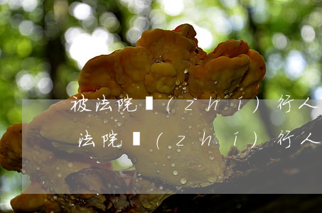 被法院執(zhí)行人交警可以查到嗎(被法院執(zhí)行人交警可以查到嗎)