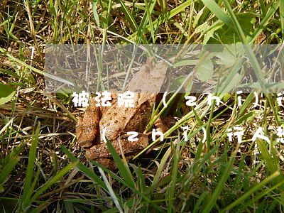 被法院執(zhí)行人還款可以分期嗎(被執(zhí)行人想分期還款法院會同意嗎)