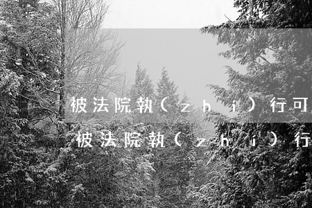 被法院執(zhí)行可以上班用工資卡嗎(被法院執(zhí)行可以上班用工資卡嗎)