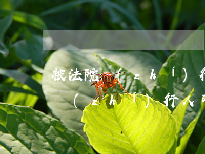 被法院執(zhí)行可以住賓館嗎(法院被執(zhí)行人可以住賓館嗎)