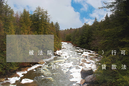 被法院執(zhí)行可以申請(qǐng)房貸嗎(房子有貸款法院能強(qiáng)制執(zhí)行嗎)