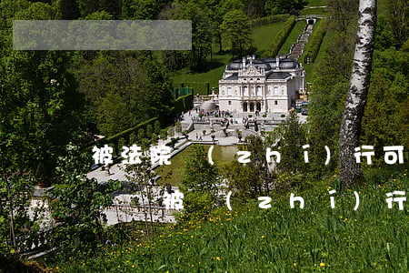 被法院執(zhí)行可以補(bǔ)身份證嗎(被執(zhí)行人可以辦身份證嗎)