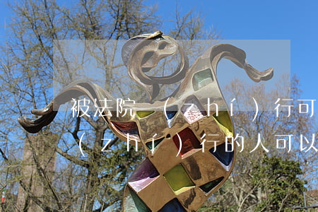 被法院執(zhí)行可以買房嗎(被法院執(zhí)行的人可以買房嗎)