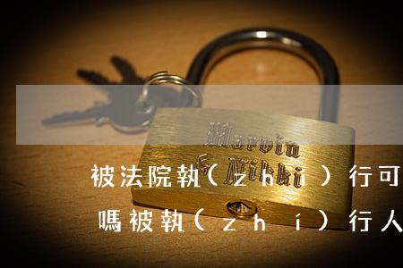 被法院執(zhí)行可以辦護(hù)照嗎(被執(zhí)行人護(hù)照坐飛機(jī)嗎)