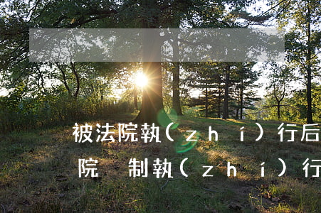 被法院執(zhí)行后可以做動車嗎(被法院強制執(zhí)行了,可以坐動車嗎?)