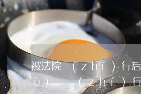被法院執(zhí)行后還可以換手續(xù)嗎(執(zhí)行期間可以換法官嗎)