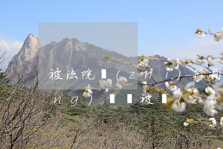 被法院執(zhí)行拘留可以做動(dòng)車嗎(被執(zhí)行人坐普通火車會(huì)被拘留嗎)
