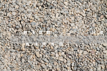 被法院執(zhí)行有記錄的人可以貸款嗎(法院有過(guò)被執(zhí)行記錄可以貸款嗎)
