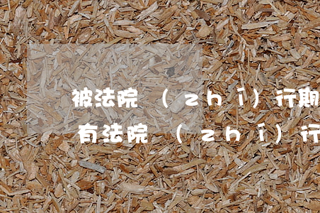 被法院執(zhí)行期間可以辦理離婚嗎(有法院執(zhí)行案件可以離婚嗎)