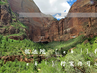 被法院執(zhí)行的人可以上訴嗎(執(zhí)行案件可以上訴嗎)