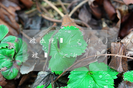 被法院執(zhí)行的人可以出國嗎(法院被執(zhí)行人可以出入境嗎)