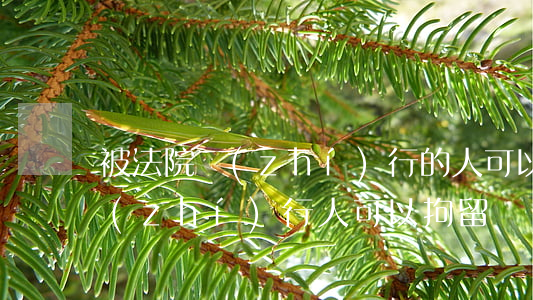 被法院執(zhí)行的人可以出境嗎(被執(zhí)行人可以拘留嗎)