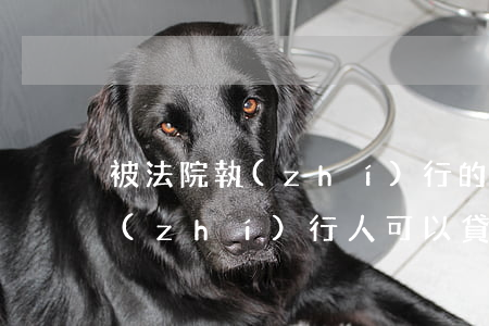 被法院執(zhí)行的人可以買房嗎(被執(zhí)行人可以貸款買房嗎)