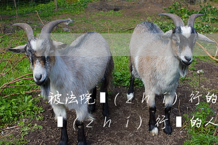 被法院執(zhí)行的人可以辦貸款嗎(被執(zhí)行過的人能貸款嗎)