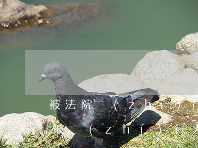 被法院執(zhí)行的人可以辦銀行卡嗎(被執(zhí)行人可以用銀行卡嗎)