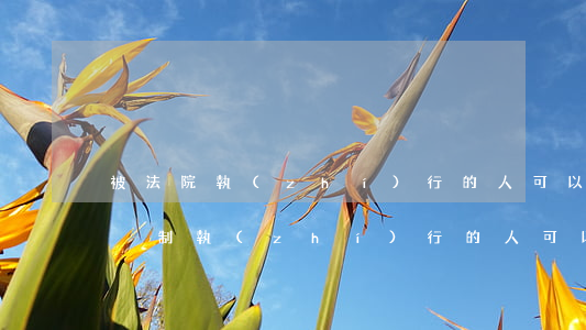 被法院執(zhí)行的人可以開賓館嗎(被強制執(zhí)行的人可以住酒店嗎)