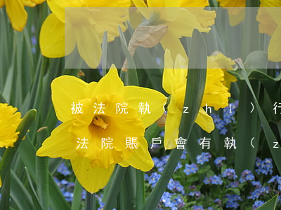 被法院執(zhí)行的錢怎么做賬(錢打到法院賬戶會有執(zhí)行費(fèi)嗎)
