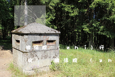 被法院執(zhí)行護(hù)照可以登房間嗎(被法院執(zhí)行了可以用護(hù)照坐飛機(jī)嗎)