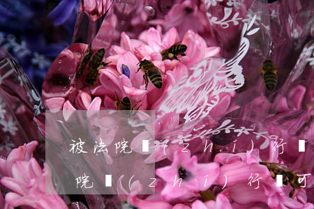 被法院執(zhí)行過可以開公司嗎(被法院執(zhí)行過可以開公司嗎)