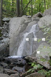 被法院執(zhí)行過處理后可以開公司嗎(被執(zhí)行的公司法人的其他公司可以執(zhí)行嗎)