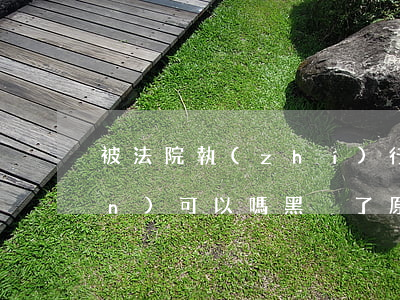 被法院執(zhí)行黑戶買保險(xiǎn)可以嗎(黑戶了原來(lái)的保險(xiǎn)還可以交嗎)