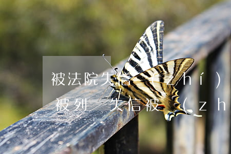 被法院失信執(zhí)行人可以坐火車嗎(被列為失信被執(zhí)行人可以坐火車嗎)
