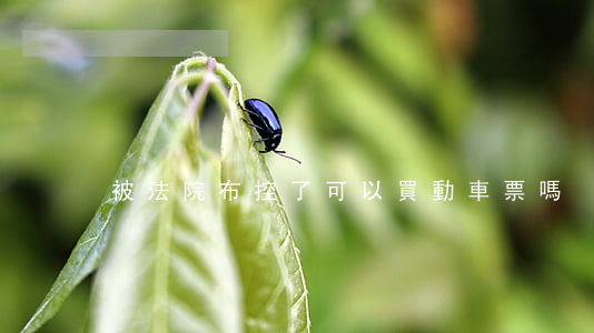 被法院布控了可以買動車票嗎