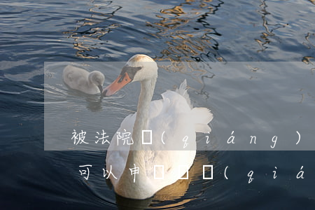 被法院強(qiáng)制執(zhí)行可以申訴嗎(強(qiáng)制執(zhí)行了,被執(zhí)行人可以申訴嗎)
