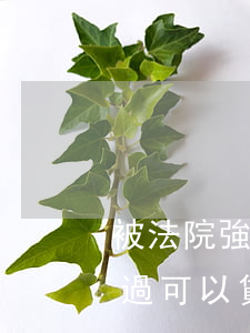 被法院強(qiáng)制執(zhí)行過可以貸款嗎(被申請(qǐng)強(qiáng)制執(zhí)行的人還能貸款到嗎)