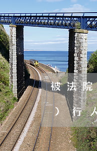 被法院強制兩年可以坐飛機嗎(被執(zhí)行人強制執(zhí)行后還可以坐飛機嗎)