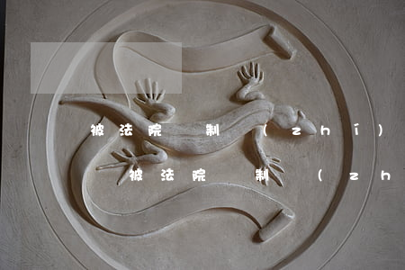 被法院強制執(zhí)行了可以只還本金嗎(被法院強制執(zhí)行了可以只還本金嗎怎么辦)
