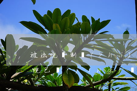 被法院強制執(zhí)行了可以談妥嗎(法院已經(jīng)強制執(zhí)行了還可以協(xié)商嗎)