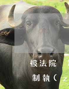 被法院強制執(zhí)行可以坐高鐵嗎(強制執(zhí)行期間可以坐飛機高鐵么)