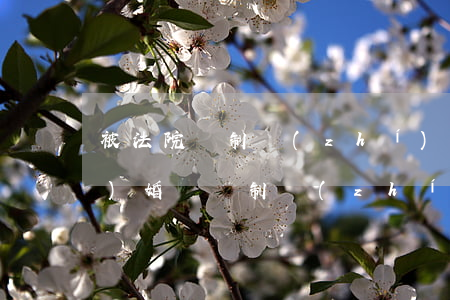 被法院強制執(zhí)行可以結(jié)婚嗎(強制執(zhí)行可以執(zhí)行被執(zhí)行人的妻子嗎)