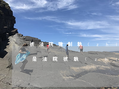 被法院強制執(zhí)行可以買機票嗎(我是法院被執(zhí)行人,成功購買了機票)