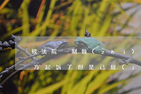被法院強制執(zhí)行后可以申訴嗎(對方起訴了,但是已經(jīng)申請了強制執(zhí)行)