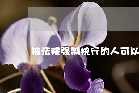 被法院强制执行的人可以出国吗