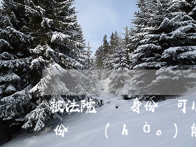 被法院懸賞身份證可以查出來嗎(法院通過身份證號(hào)能查什么)